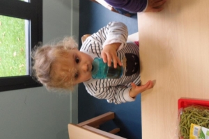 SAM_0127