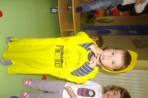 imgp0981