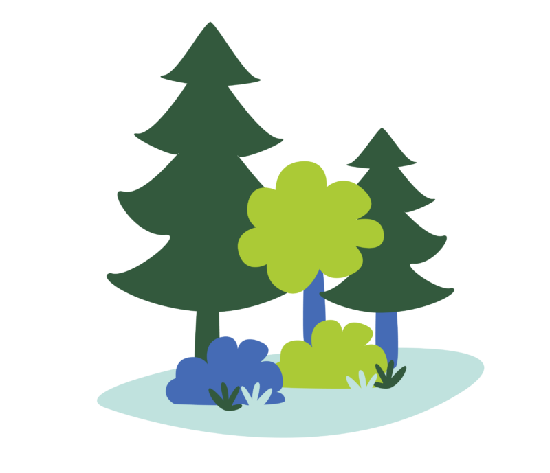 Le respect de la nature, l'ADN de notre projet